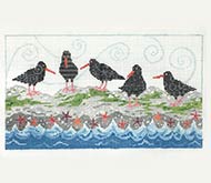 Oyster Catchers