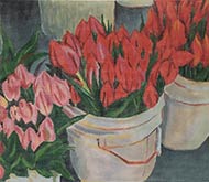 Buckets of Tulips